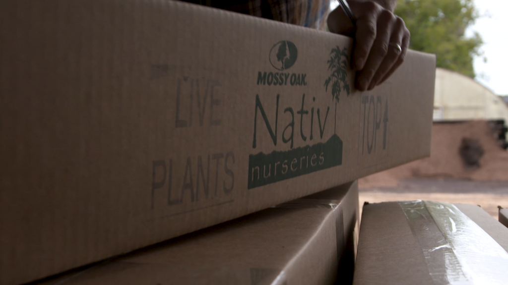 When will my tree order ship and can I request a ship date?