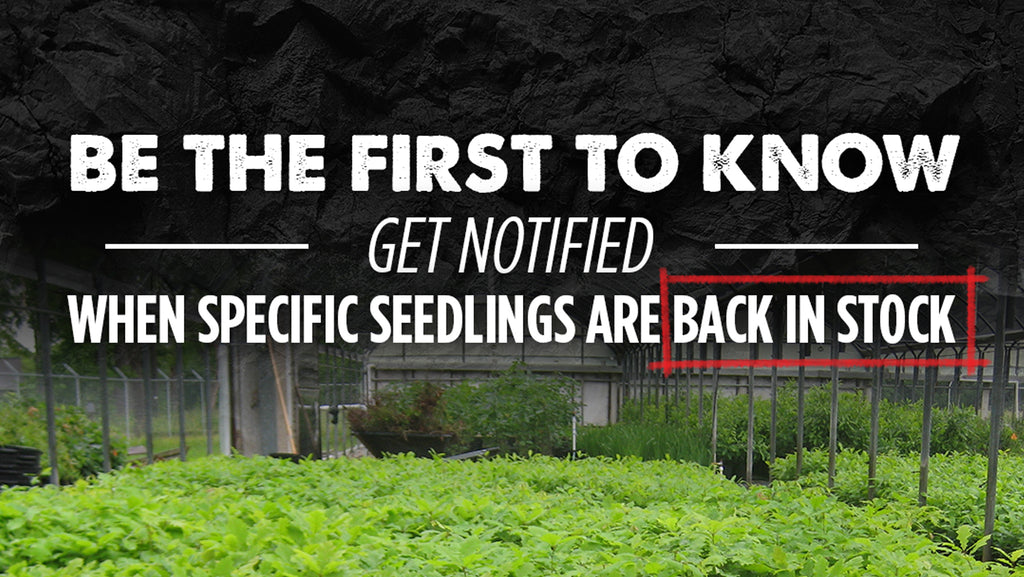 Receive In-Stock Notifications from Nativ Nurseries