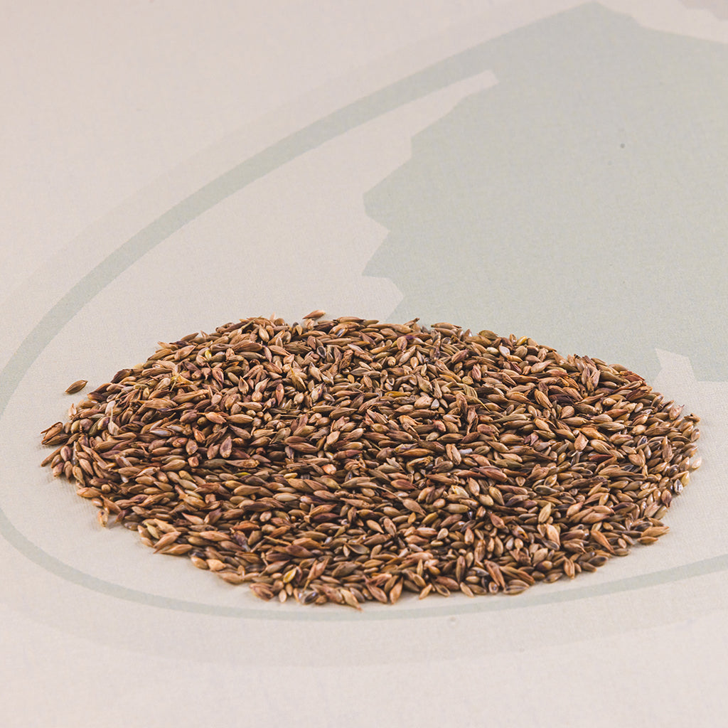 Image of Native Grass Seed-Barrier Blend.