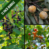 Wildlife Fruit Tree Package