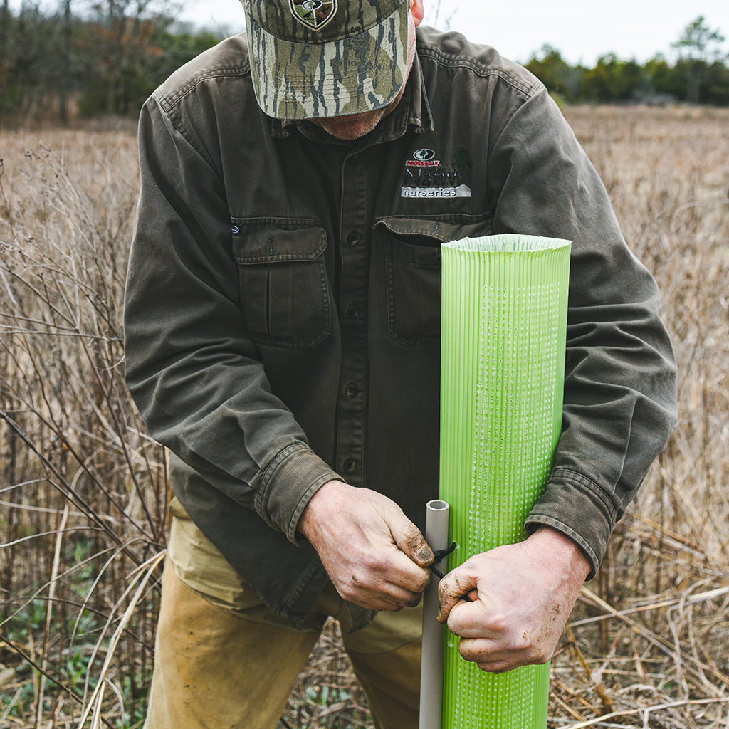 Image of the tree protector stake being used.
