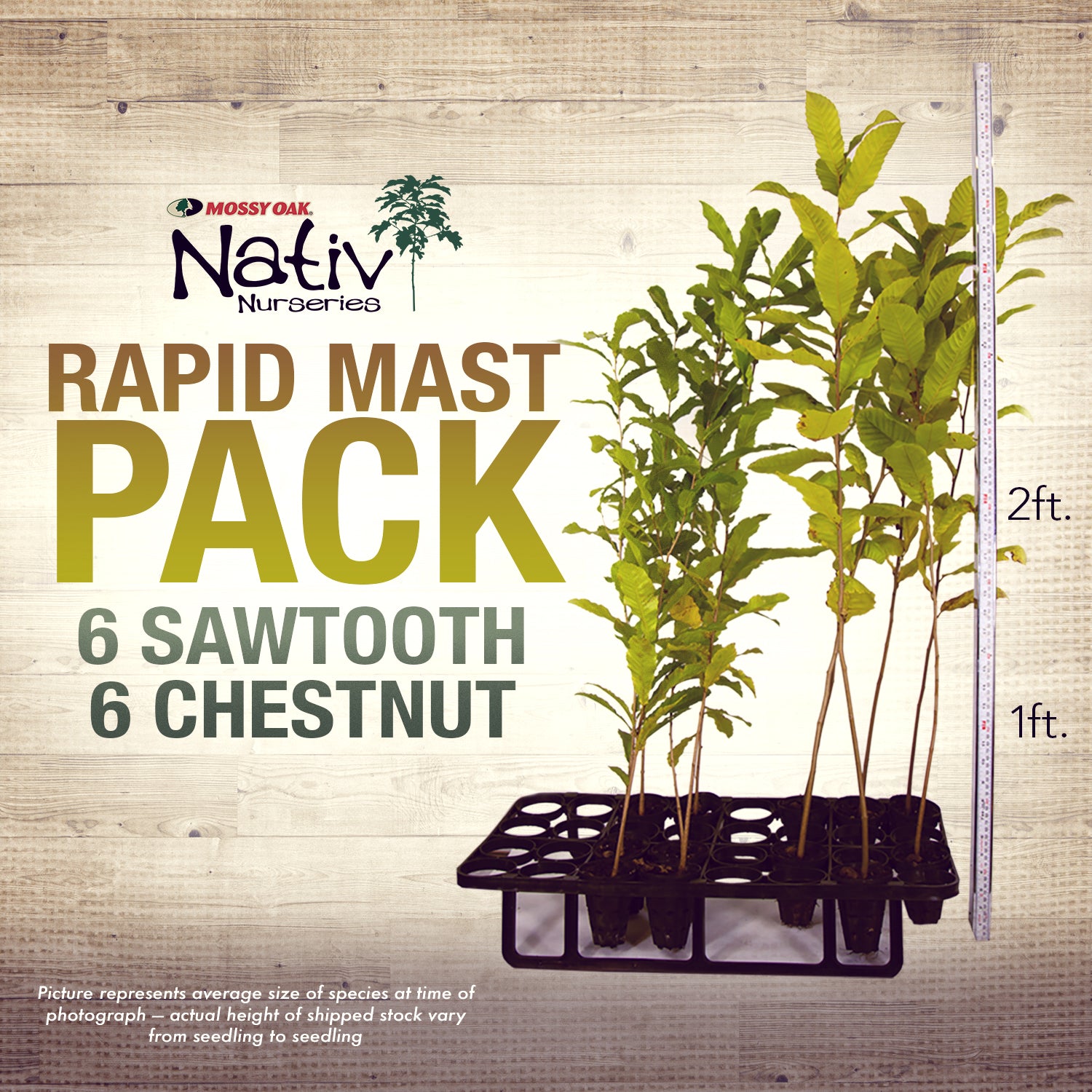 Blight Resistant Chestnut / Sawtooth Oak Rapid Mast Package
