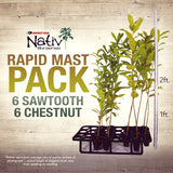 Blight Resistant Chestnut / Sawtooth Oak Rapid Mast Package